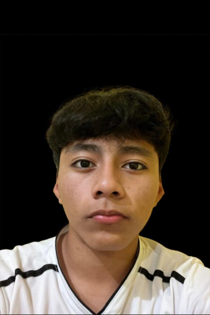 User Image