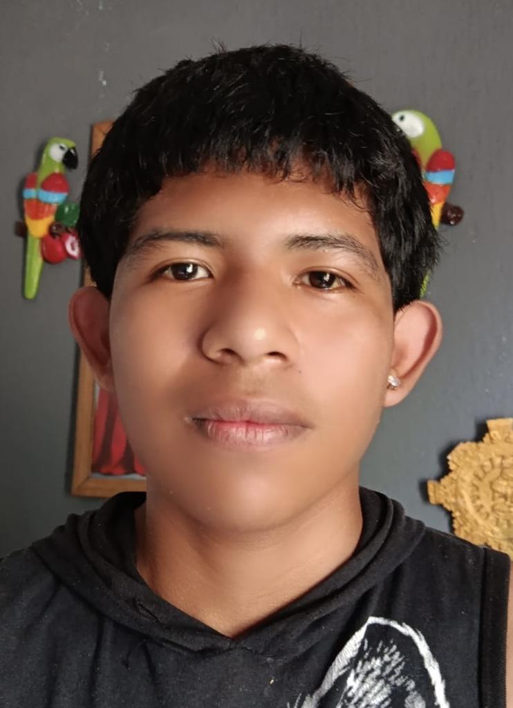 User Image