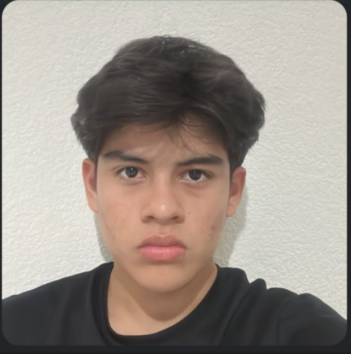 User Image